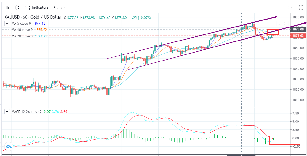 如期回调，但非反转(10月13日)-Pic no.1