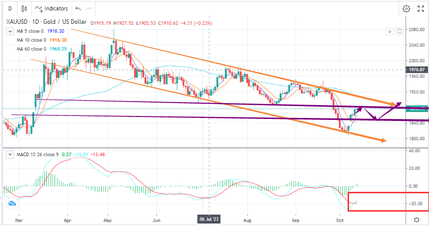 暂停加息逻辑强化，金价继续反弹(10月12日)-Pic no.1