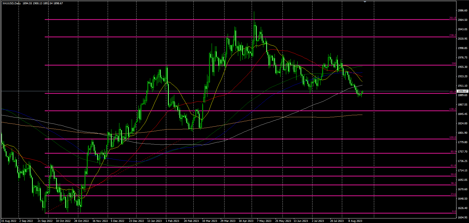 2023.8.22  欧盘视点-Pic no.1