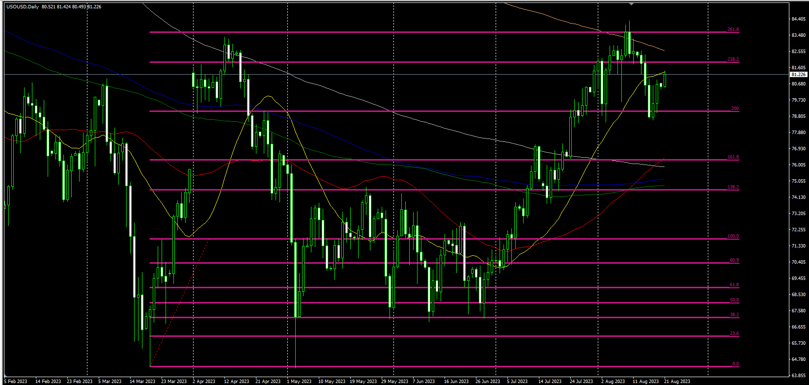 2023.8.21  欧盘视点-Pic no.3