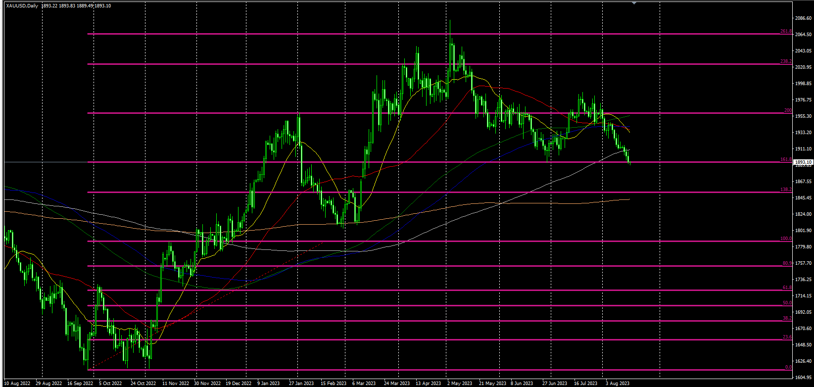 2023.08.17  20：30 初请数据行情 专刊-Pic no.3
