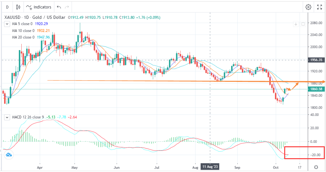 鸽声一片，金价反弹继续(10月11日)-Pic no.1