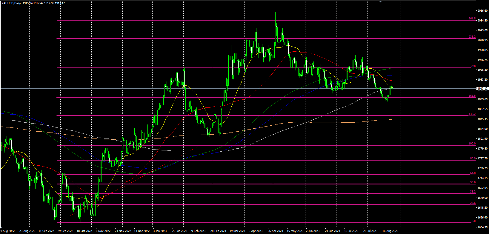 2023.8.25  欧盘视点-Pic no.1