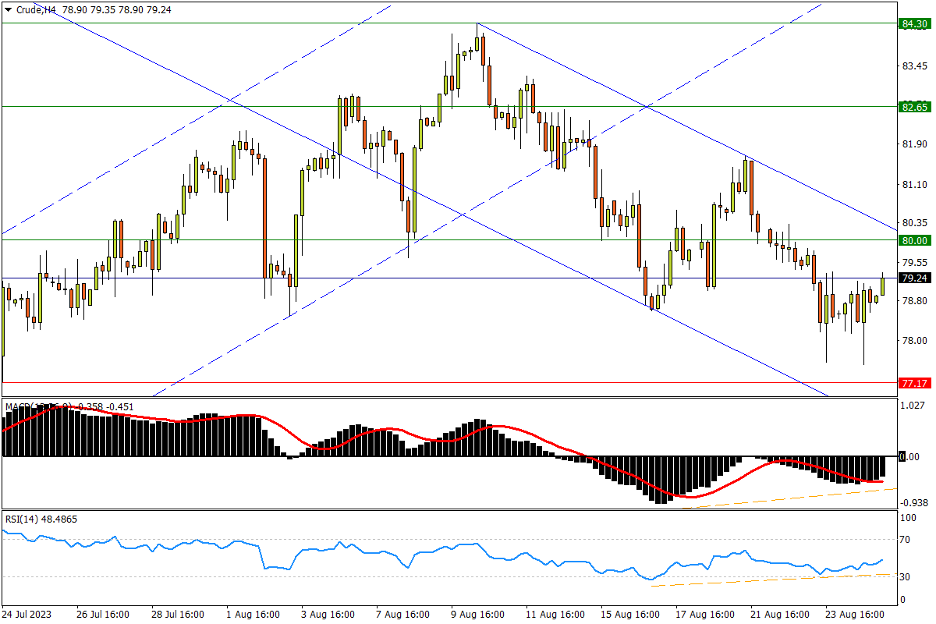 08/25 CRUDE 缺口上端双针探底，引燃攻击双重短阻希望-Pic no.1