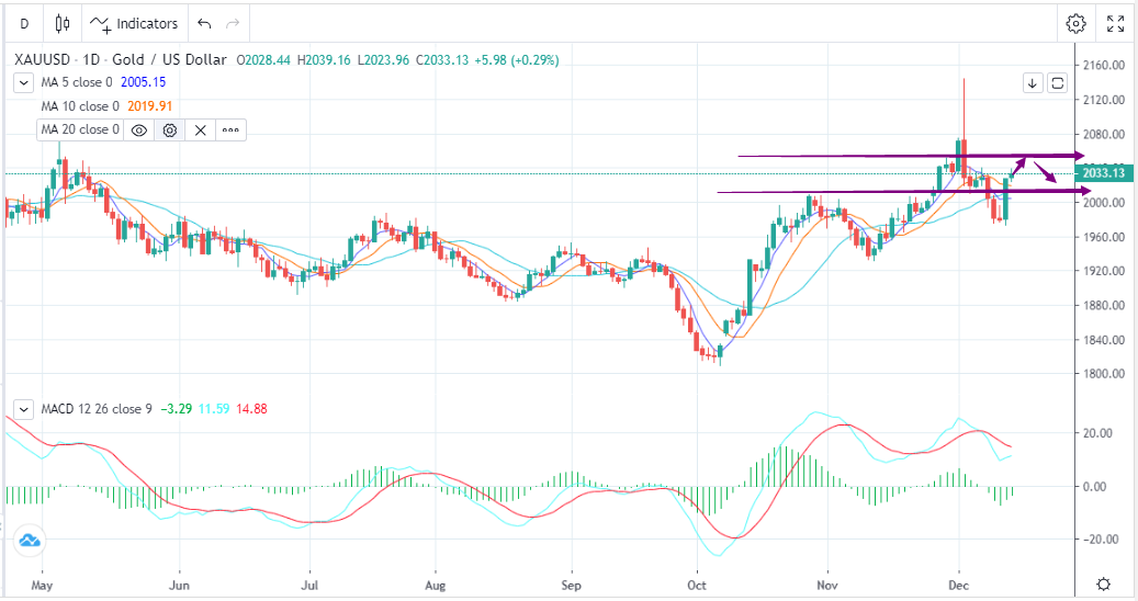 鸽声震耳，金价大幅上行(12月14日)-Pic no.1