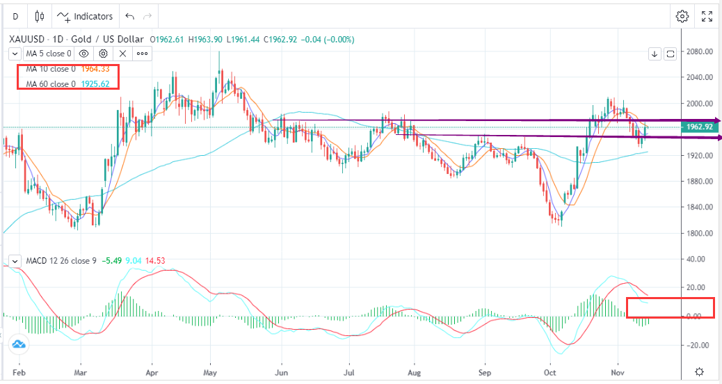 Gold Surges as CPI Cools More Than Expected（11.15）-Pic no.1
