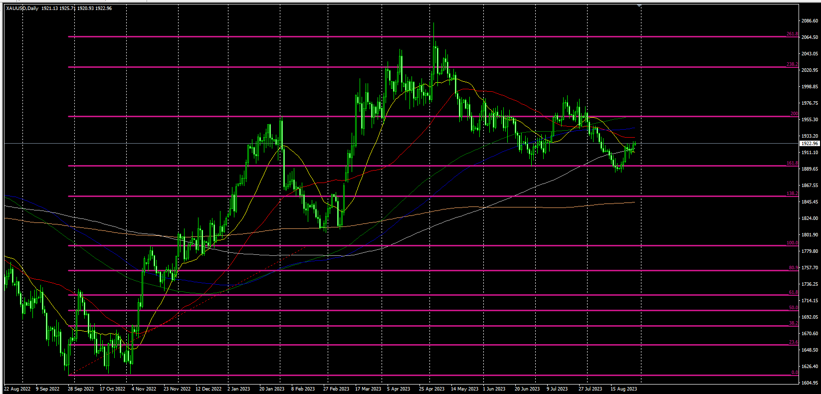 2023.8.29  欧盘视点-Pic no.1
