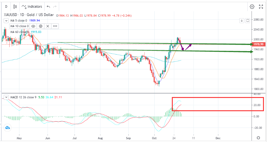  As gold Prices Surge and Fall, the Market Turns Bearish （11.01）-Pic no.1