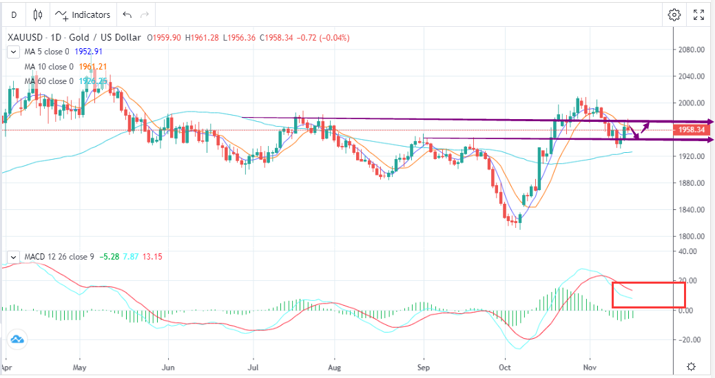 The Dollar Rebounded Slightly and Gold Prices Corrected Under Pressure（11.16）-Pic no.1