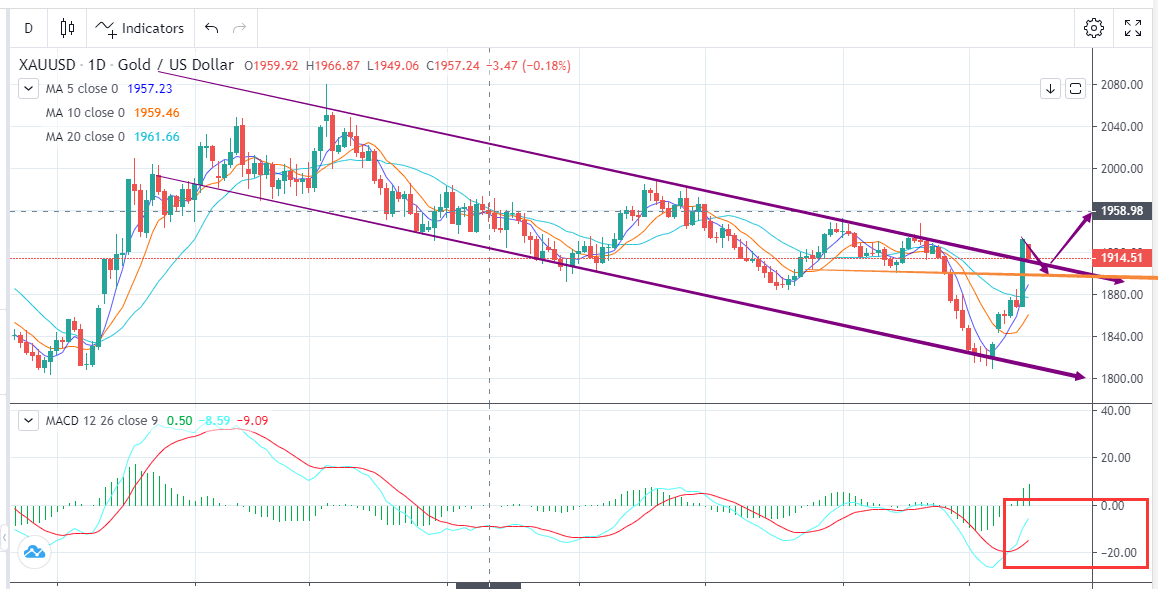 避险情绪升温，金价大幅上涨(10月16日)-Pic no.1
