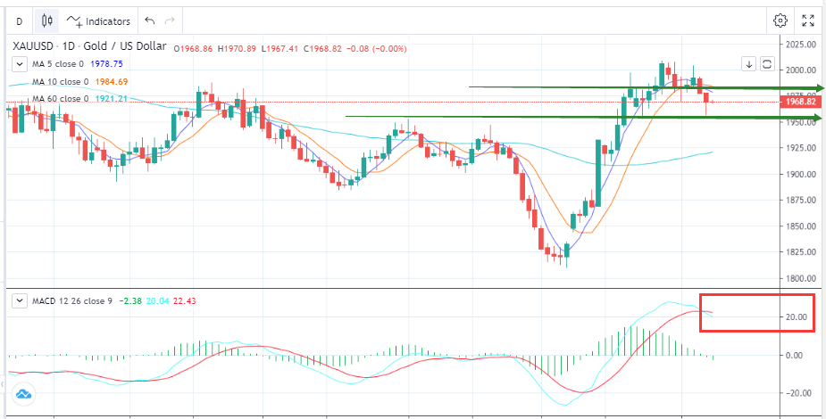  Gold Declines as USD Rebounds （11.08）-Pic no.1