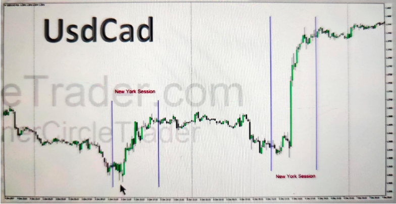 The New York Killzone-Pic no.1