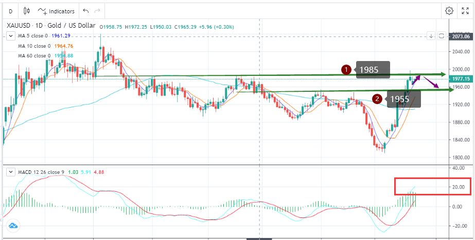 冲突依旧未除，金价宽幅震荡(10月24日)-Pic no.1