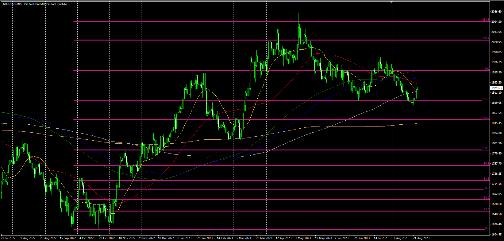 2023.8.24  欧盘视点-Pic no.1