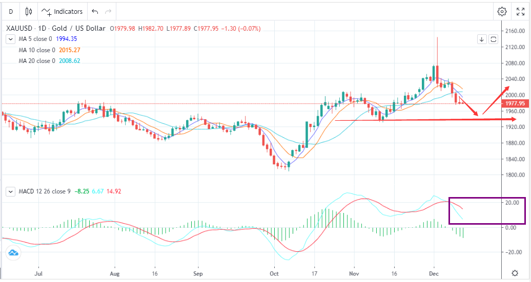 通胀意外走强，金价冲高回落(12月13日)-Pic no.1