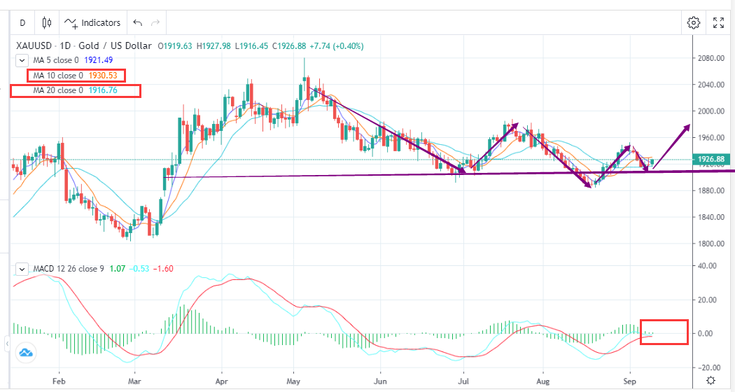 XAUUSD：美元高位震荡，金价较为抗跌（9月11日）-Pic no.1