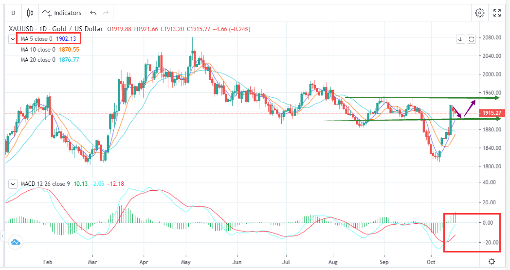 金价易涨难跌，关注中东局势(10月17日)-Pic no.1