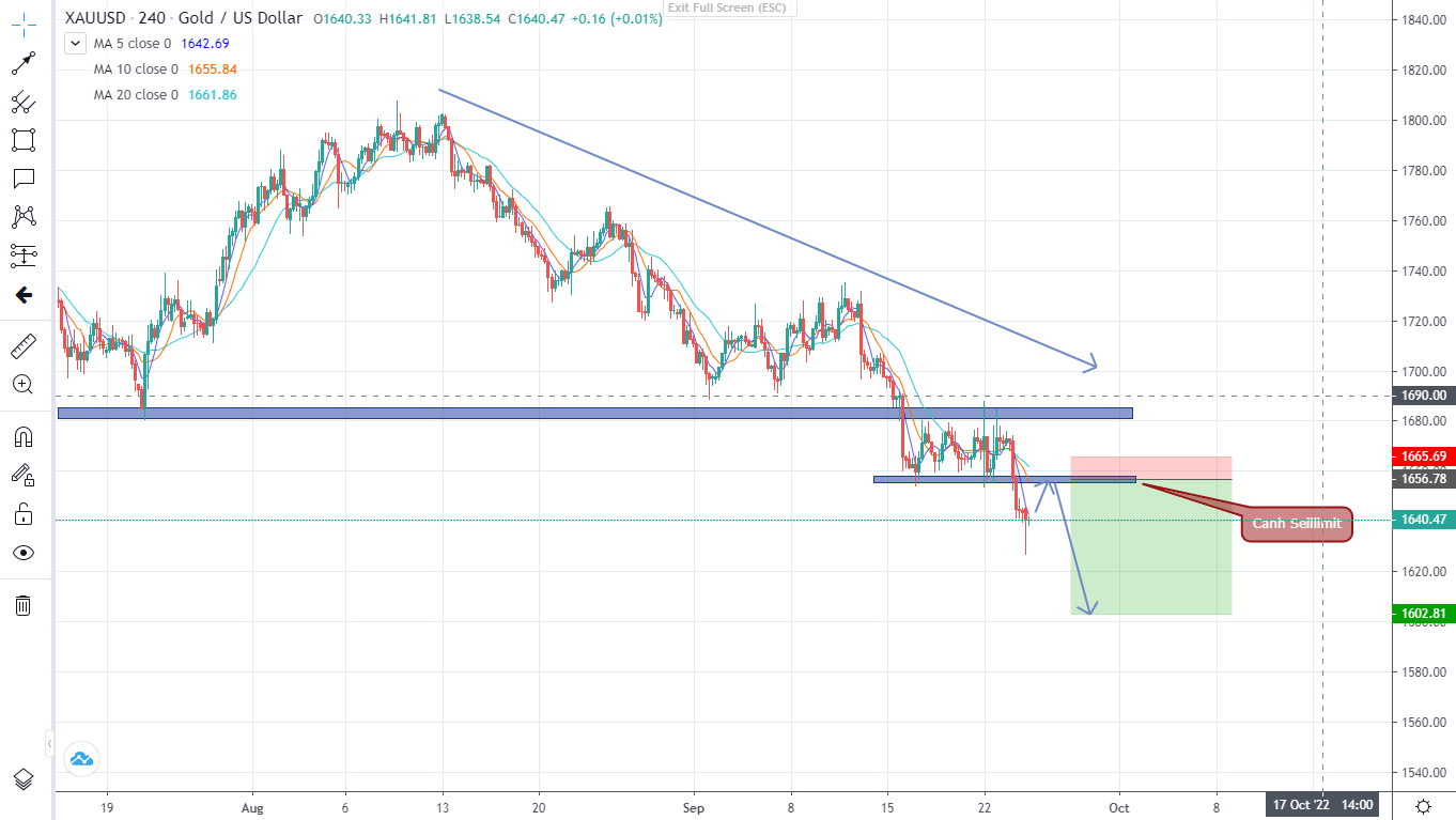 Thị trường ngày 26/9/2022-Pic no.3