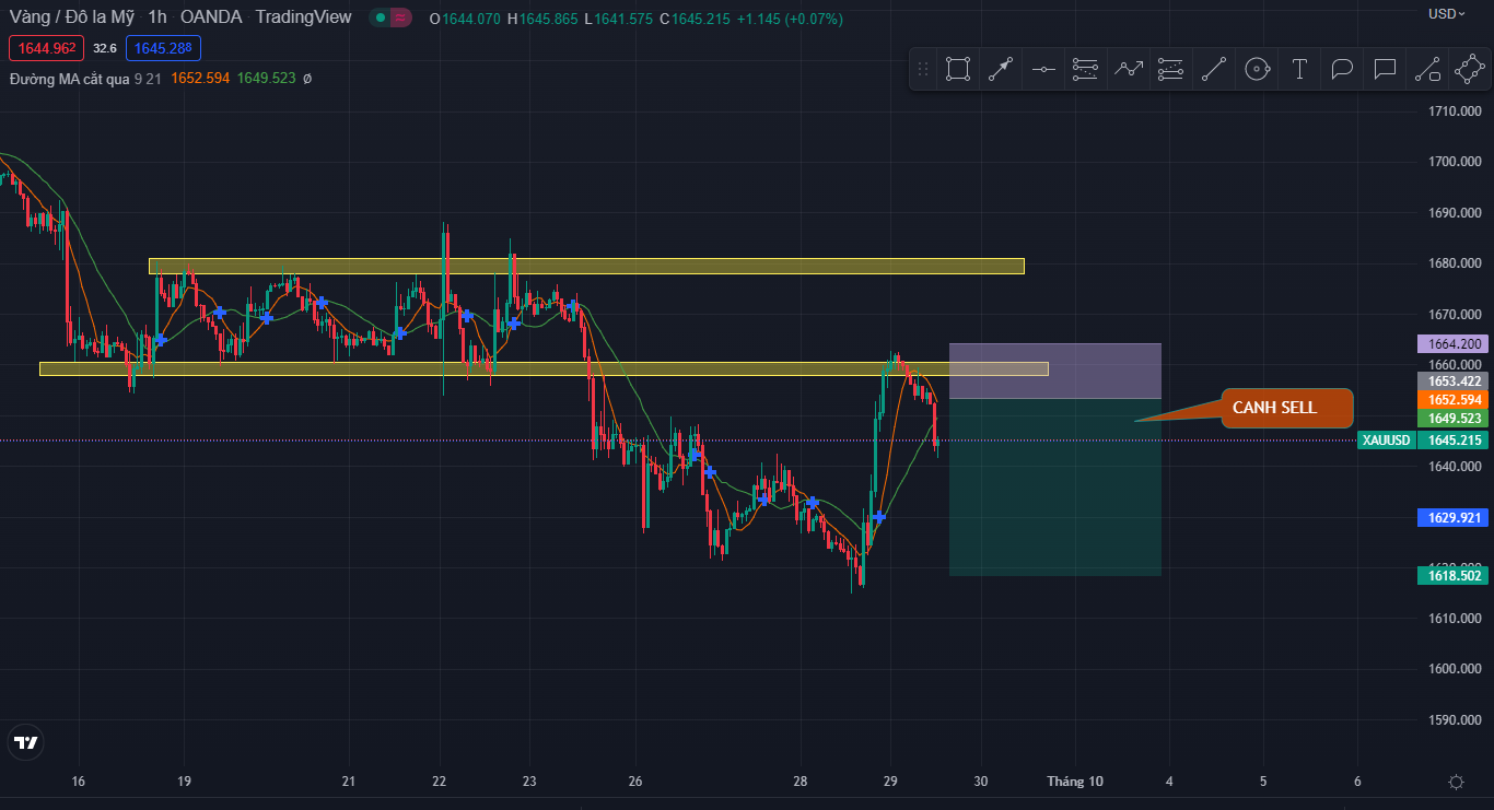 Thị trường ngày 29/09/2022-Pic no.2