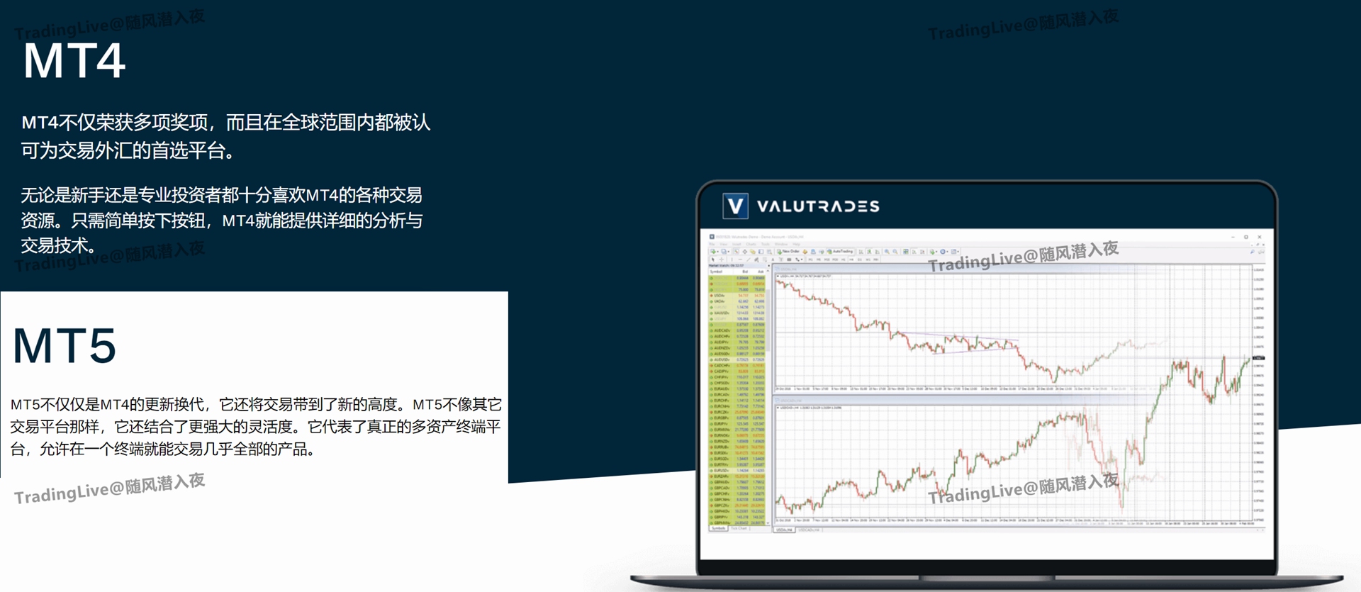 Valutrades - 最值得信赖的ECN经纪商-Pic no.4