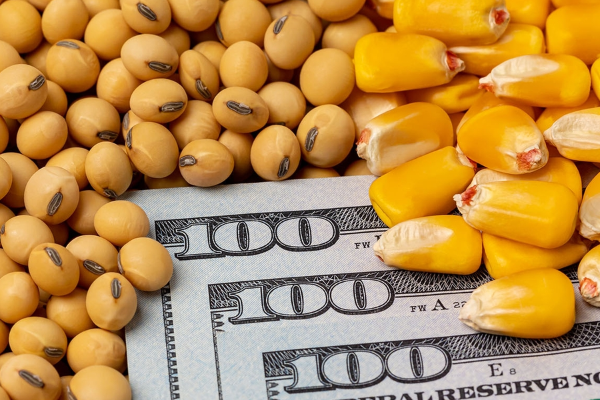 Jun 12th: Funds Cover Short Positions in U.S. Soyoil, Corn and Hogs-صورة 1