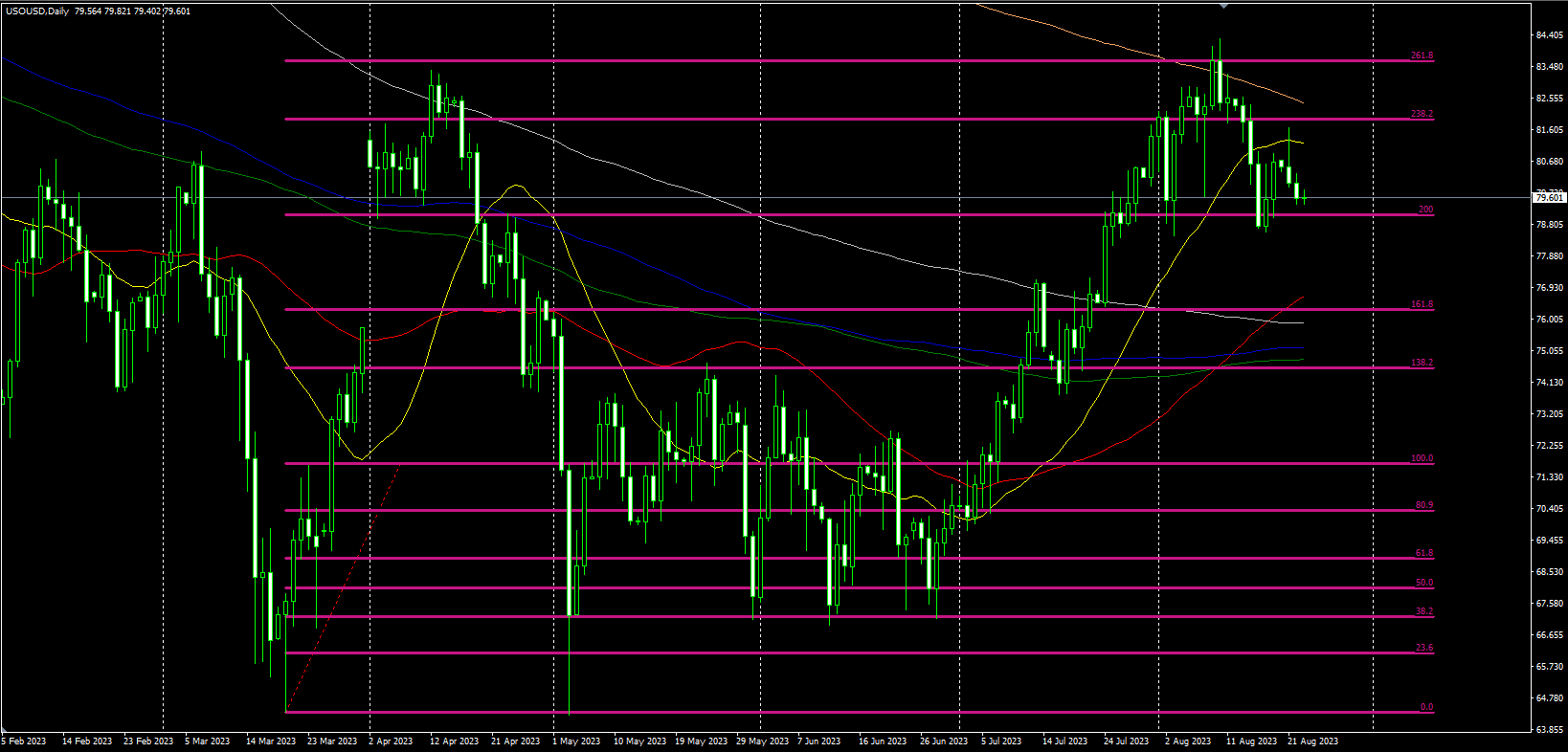 2023.8.23   22：30 EIA专刊 Older Duan-Pic no.3