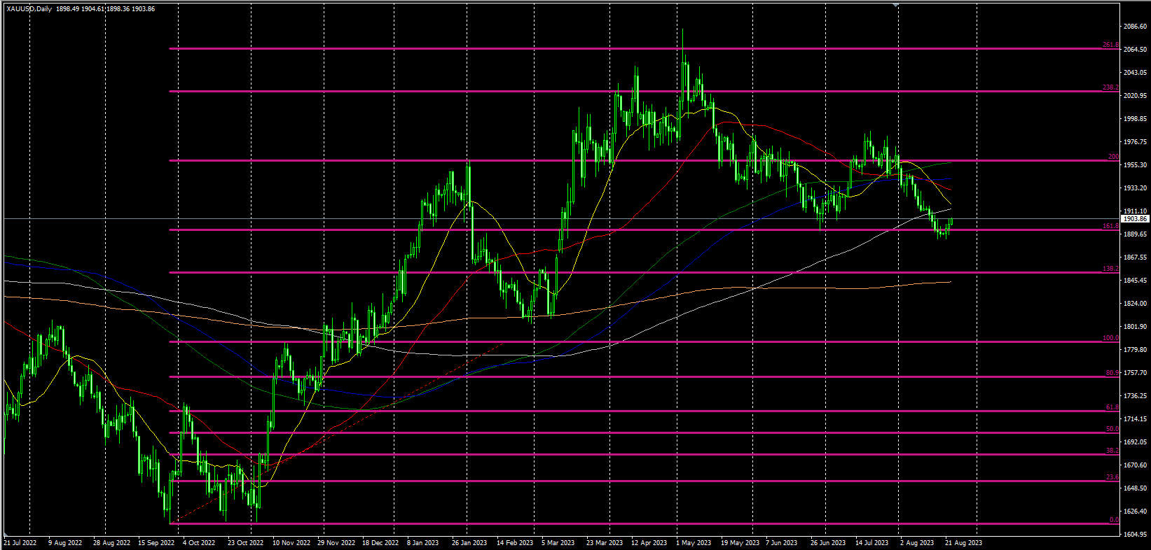 2023.8.23  欧盘视点-Pic no.1