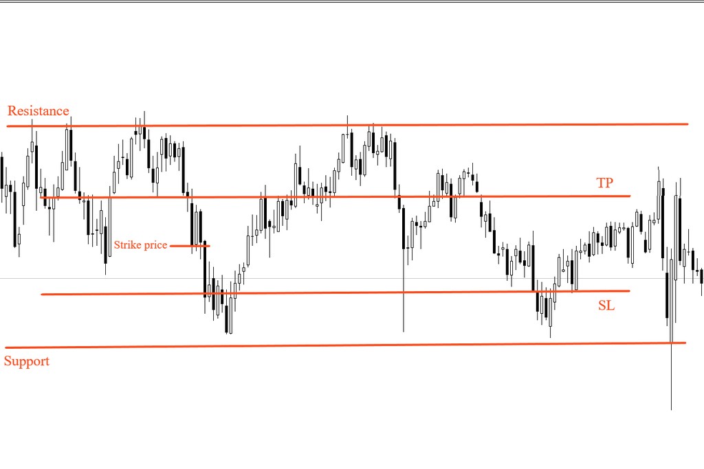 Profit, Profit Margin and Profit/Loss Ratio-Pic no.1